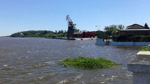 Baja el río Uruguay pero sube el Paraná en las costas entrerrianas
