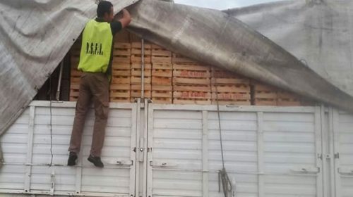 Se realizó un operativo de control de citrus en el Túnel Subfluvial