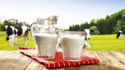 El precio de la leche en el país es el segundo más caro del mundo, según un estudio