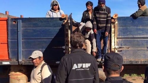 La AFIP informó que detectó trabajo esclavo en campo de Salta