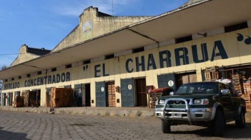El Charrúa se mudará al Acceso Norte