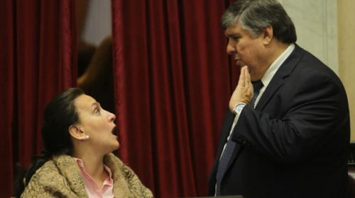 Otro papelón de Michetti en el Senado