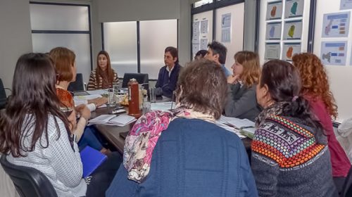 La ministra de Salud se reunió con trabajadores sociales de la provincia