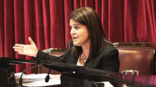 Kunath plantea en el Senado la preocupación por la importación de carne porcina
