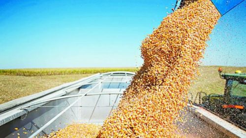 Entre Ríos alcanzó una producción agrícola récord