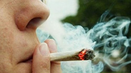 Fumar marihuana triplica riesgo de muerte por hipertensión