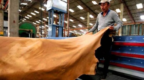 Las importaciones de manufacturas de cuero aumentaron un 33% en lo que va del año