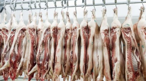 Rechazo: productores piden a las provincias que bloqueen la importación de cerdo
