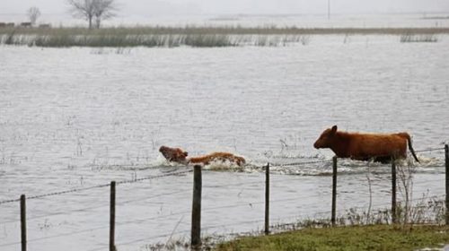 Inundaciones: las pérdidas podrían superar los US$ 1500 millones