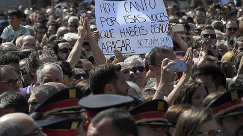 Las palomas se quedan sin espacio en la plaza de Catalunya