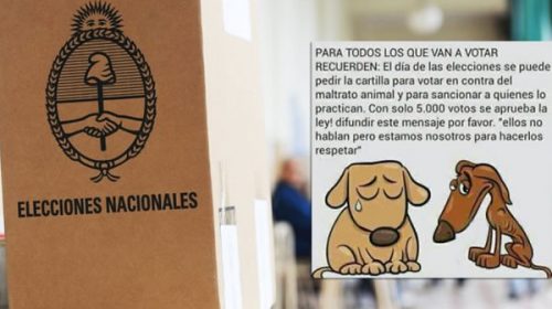 Una falsa campaña contra el maltrato animal busca impugnar votos