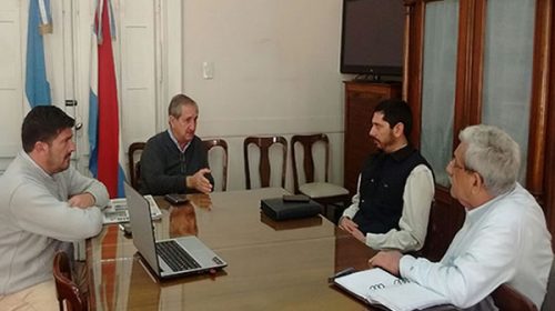 Alertan sobre los riesgos sanitarios de introducir carne porcina al país