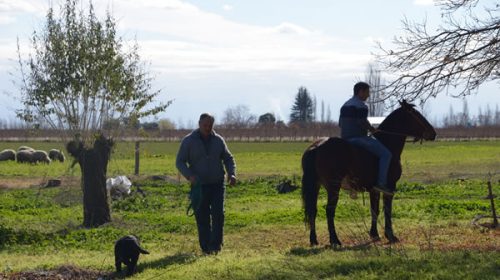 Comenzó en la provincia prueba piloto de Encuesta Permanente de Hogares Rural