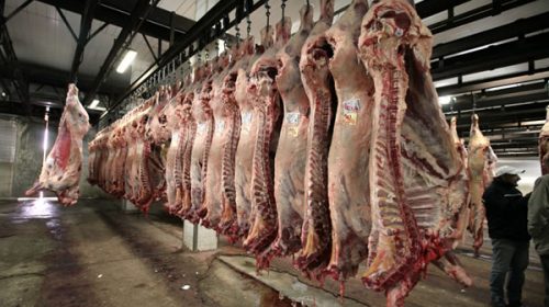 Argentina dio vía libre a la importación de carne vacuna brasileña