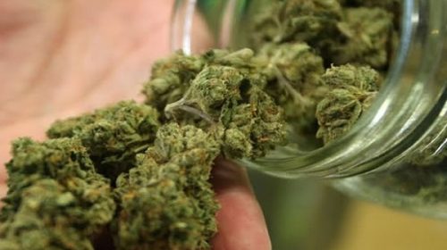 Perú se suma a la corriente para legalizar la marihuana