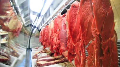 Exportaciones de carnes bovinas cayeron 20% en agosto