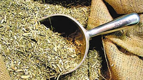 Autorizan un aumento de 5% en el precio de la yerba mate