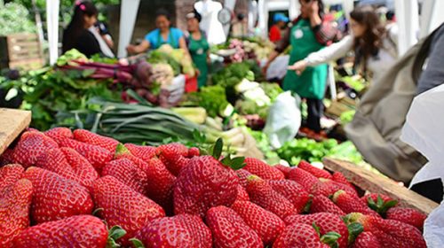 Productores venderán verduras en la Plaza de Mayo sin intermediarios