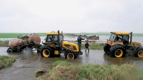 Se desplomó 40% la rentabilidad de los productores de granos