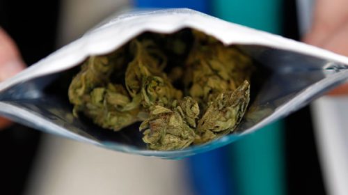¿Por qué el Gobierno de Uruguay está a punto de declarar el desabastecimiento de cannabis?