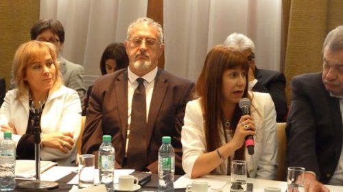 Entre Ríos participó de la cuarta reunión del Consejo Federal de Salud en Buenos Aires