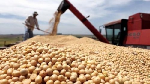 Exportaciones: una resolución oficial facilita la evasión