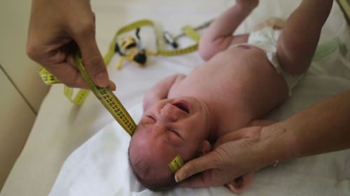 El virus del zika generó menos nacimientos en Brasil