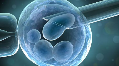 Planean limitar la edad de cobertura para los tratamientos de fertilización