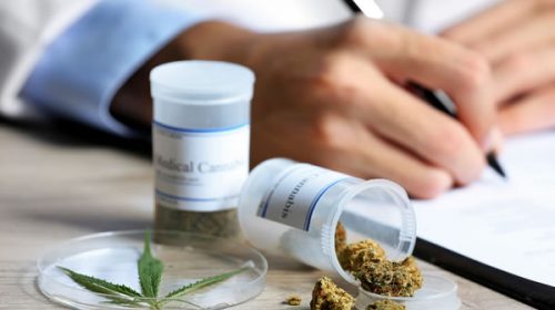 Ingresó a Diputados el nuevo proyecto sobre Cannabis Medicinal