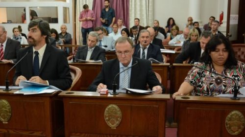 Senadores justicialistas rechazan modificaciones en la Ley de Salud Mental