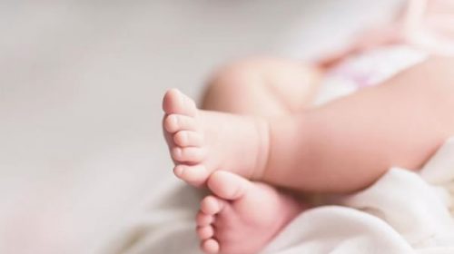 Italia le pide ayuda a sus bancos para incentivar a las parejas a tener hijos