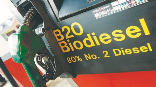 La Argentina analiza ir a la OMC para destrabar el ingreso de biodiesel en EE.UU.