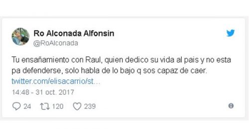 La nieta de Alfonsín cargó contra Carrió por su “ensañamiento con Raúl”