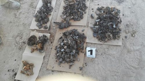 Buscan identificar 3 mil restos óseos de una fosa clandestina en México