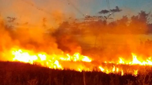Un incendio hizo peligrar la red de alta tensión de Salto Grande