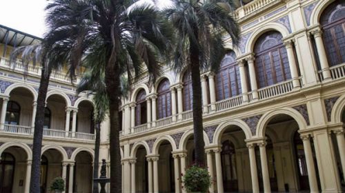 Críticas por el insólito valor de una palmera para la Casa Rosada