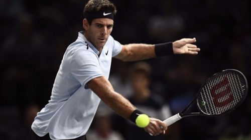 Del Potro venció a Ferrer y es finalista en Auckland