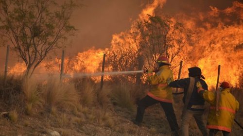 Intensifican el combate a los incendios forestales