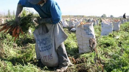 Un ex Sociedad Rural deberá controlar el trabajo esclavo en el campo
