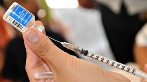 Fiebre amarilla: qué es y por qué vacunarse antes de ir a Brasil