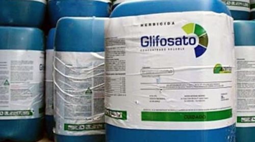 Debatirán el proyecto que prohíbe el glifosato en Gualeguaychú