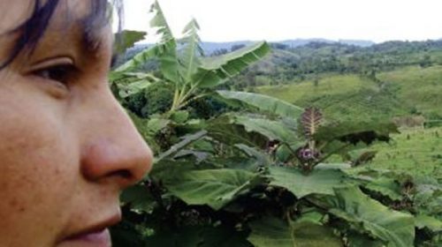 Derechos de papel