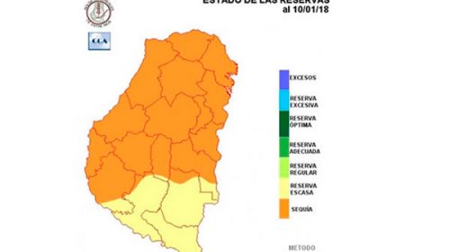 La sequía ya afecta al 80% de los suelos entrerrianos