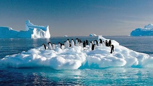 El liderazgo de mujeres científicas contra el cambio climático empieza en la Antártida