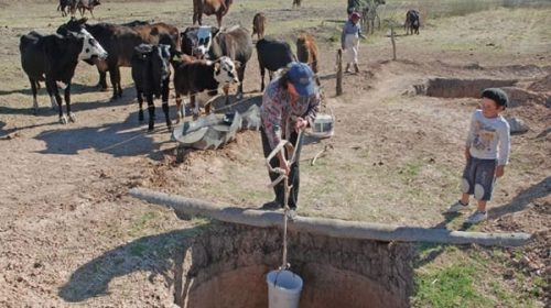 La sequía ya impacta en la ganadería y puede dejar pérdidas por u$s 2150 M