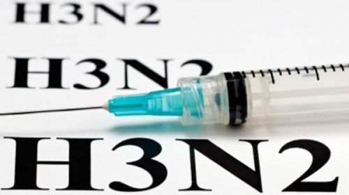 Virus de la gripe recargado: llegó el H3N2