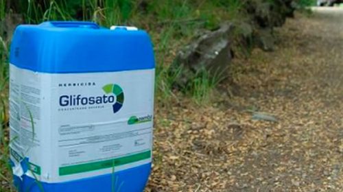 Productores agropecuarios debatirán sobre proyecto de prohibición de glifosato