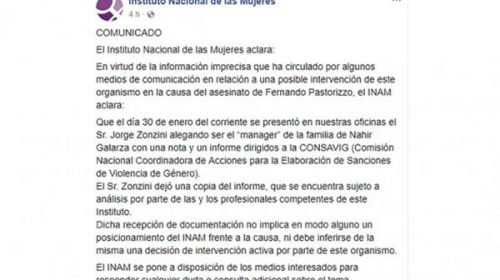 Desde el INAM negaron la intervención en el caso Pastorizzo