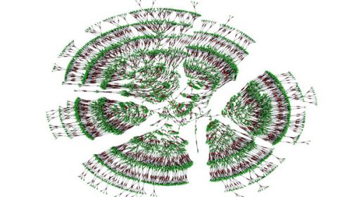 Un árbol genealógico gigante desvela nuevos secretos de la historia de la humanidad
