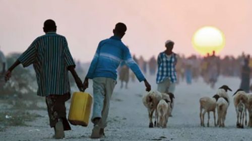 Dicen que el cambio climático causará una catástrofe migratoria
